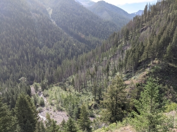 Looking down off the falls of Falls Creek, toward Hurricane Creek. 