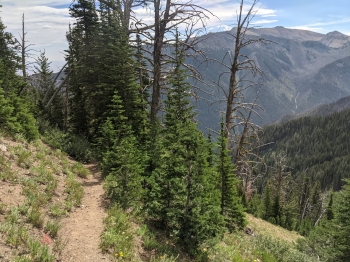 Looking back toward Chief Joseph Peak from the trail. 