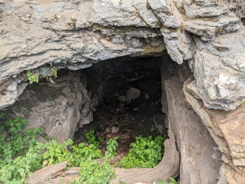 Mine