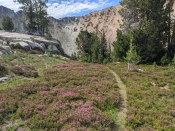 Nearing the lake. 