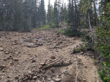 There is a rough rocky and steep section with poor tread