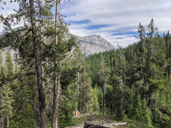 Matterhorn visible from the trail.