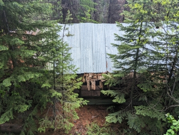 Gold miner's cabin