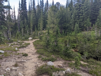 Cairn with a pole marking the intersection with Main Eagle Trail