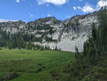 Meadow near the end of the trail. 