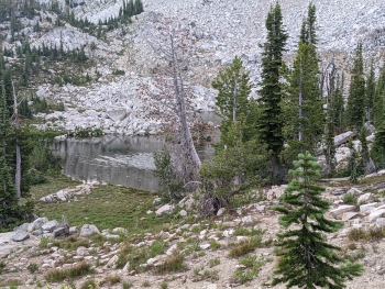 Shoreline of Arrow Lake