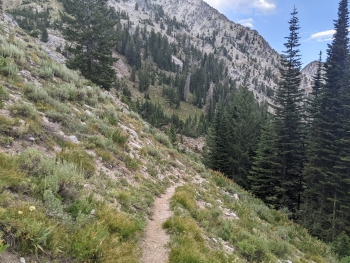 Looking down the trail. 