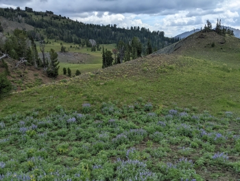 View from the start of the trail. 