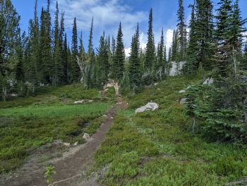 Early stretches of the trail out of Lakes Basin.