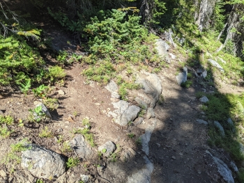 Unmarked start of the trail (left) off the Lakes Basin Trail