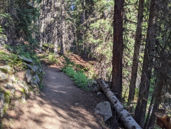 Some wide open trail early. 