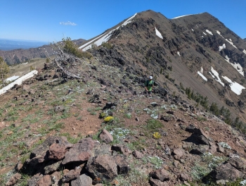 Looking up at East Peak. 