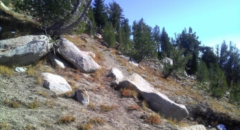 The trail starts to look more alpine as you get higher up on Mule Peak.