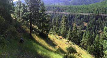 Climbing up to Luger Springs from the Lookinglass.