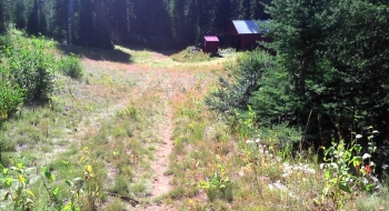 The trail coming down to the first lift.