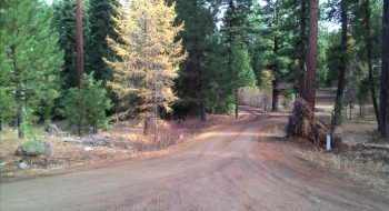 From Road 77, looking back at where Carson Grade Road comes up. 