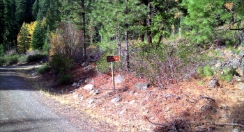 This trail sign is false advertising on the Schneider Meadow road, just past the bridge over Clear Creek.