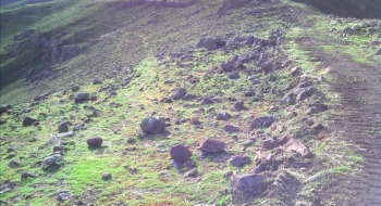This is where the trail (left) takes off from the road (right).