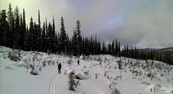 Skiing through the big slide path on the northwest face.