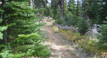Nice and easy trail.