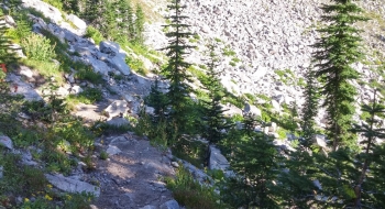 The old trail heads down before the talus field here on the right. 