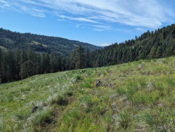 Looking south with the snowcapped Wallowas in the far distance.