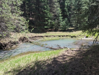 Crossing of Davis Creek in May