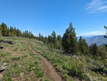 A singletrack side-trail near the start.
