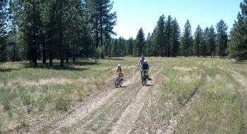Ruts can be prevalent.