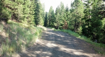 Ordinary gravel climbing, not many views to speak of unless you like looking at trees. Ordinary gravel climbing, not many views to speak of unless you like looking at trees.