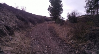 Nearing the top of the climb. 