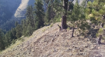 Some gnarly sidehill. 