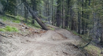 Brand new trail for 2015