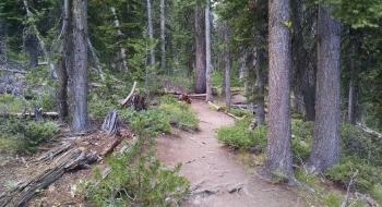 Fun riding along the creek.