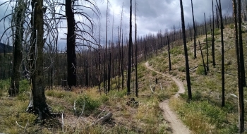 Burnt flow