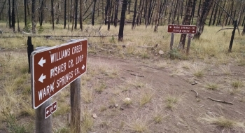 The intersection with Warm Springs Trail. Williams Creek it to the left.