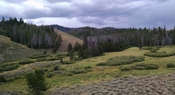 Where the trail crosses Williams Creek and begins a short climb. 