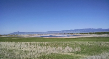 Ladd Marsh from Foothill Rd. 