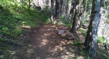 In the deep woods where sasquatch roams. 