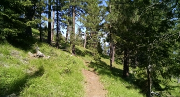 Up top on Sasquatch