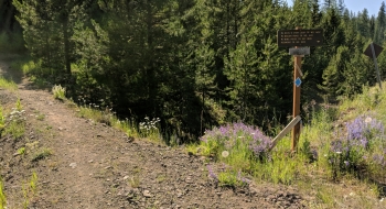 Trail sign at the start of the trail. 