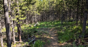 A berm, proof of mountain bike emphasis. 
