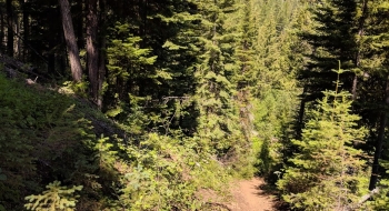 Very steep dropping straight down. 