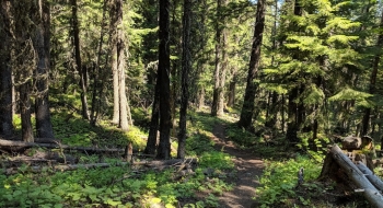 Some very nice singletrack.