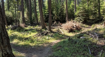 Bottom junction with a side trail. 