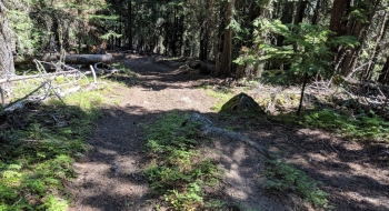 Real jumps using rock features