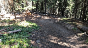 Real berms.