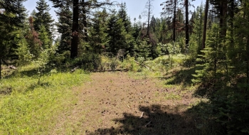 Bottom of the trail, where it comes out over a berm. 