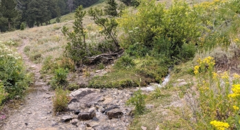 A creek crossing flowing in late July