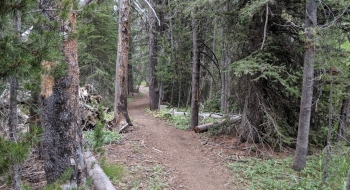 A nice flattish trail much of the way early on. 